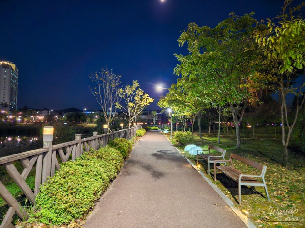 Exploring the Night Views of Daehwa Park in Jincheon_03