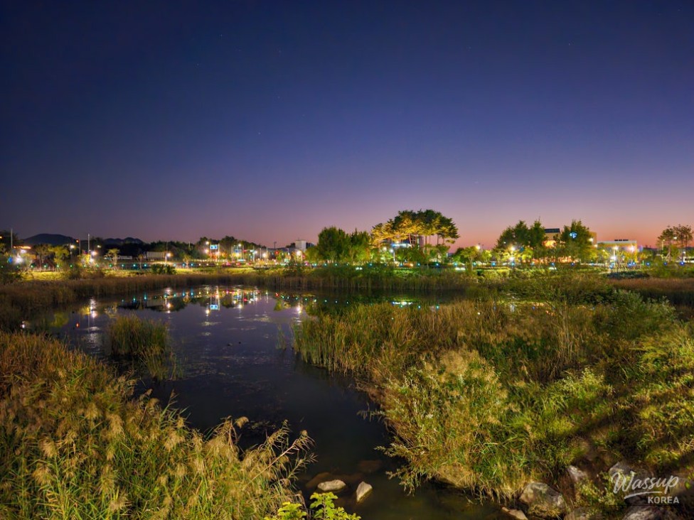 Exploring the Night Views of Daehwa Park in Jincheon_02