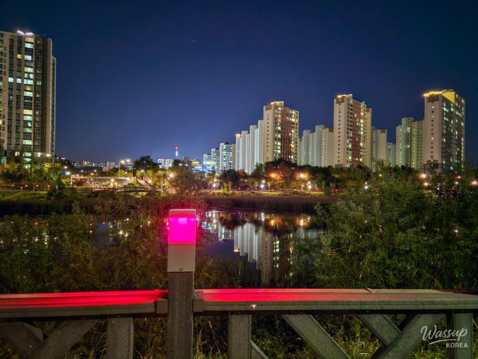 Exploring the Night Views of Daehwa Park in Jincheon_05