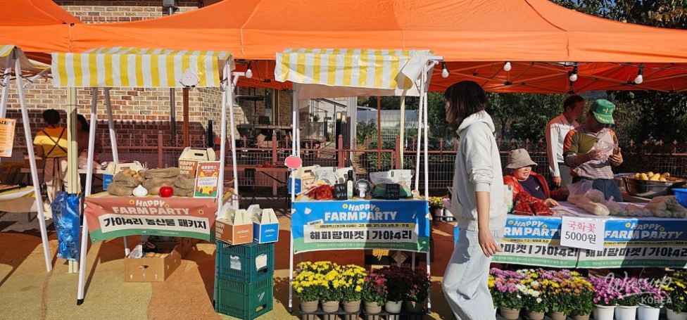 Happy Farm Party in Gaya 4-ri_05