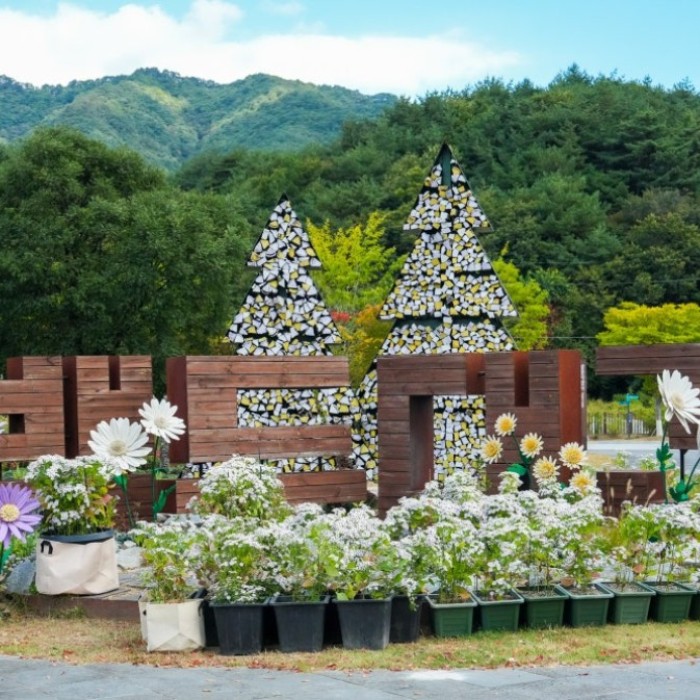 Exploring the Beauty of the National Baekdu-daegan Arboretum in Autumn
