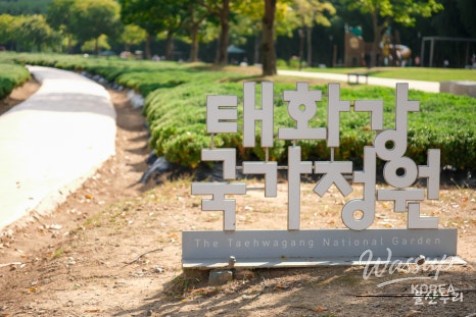 Autumn Blooms at Taehwa River National Garden_13