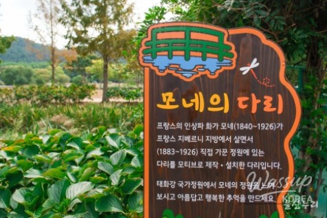 Autumn Blooms at Taehwa River National Garden_12