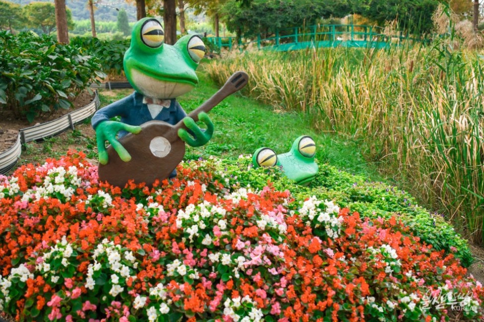Autumn Blooms at Taehwa River National Garden_10