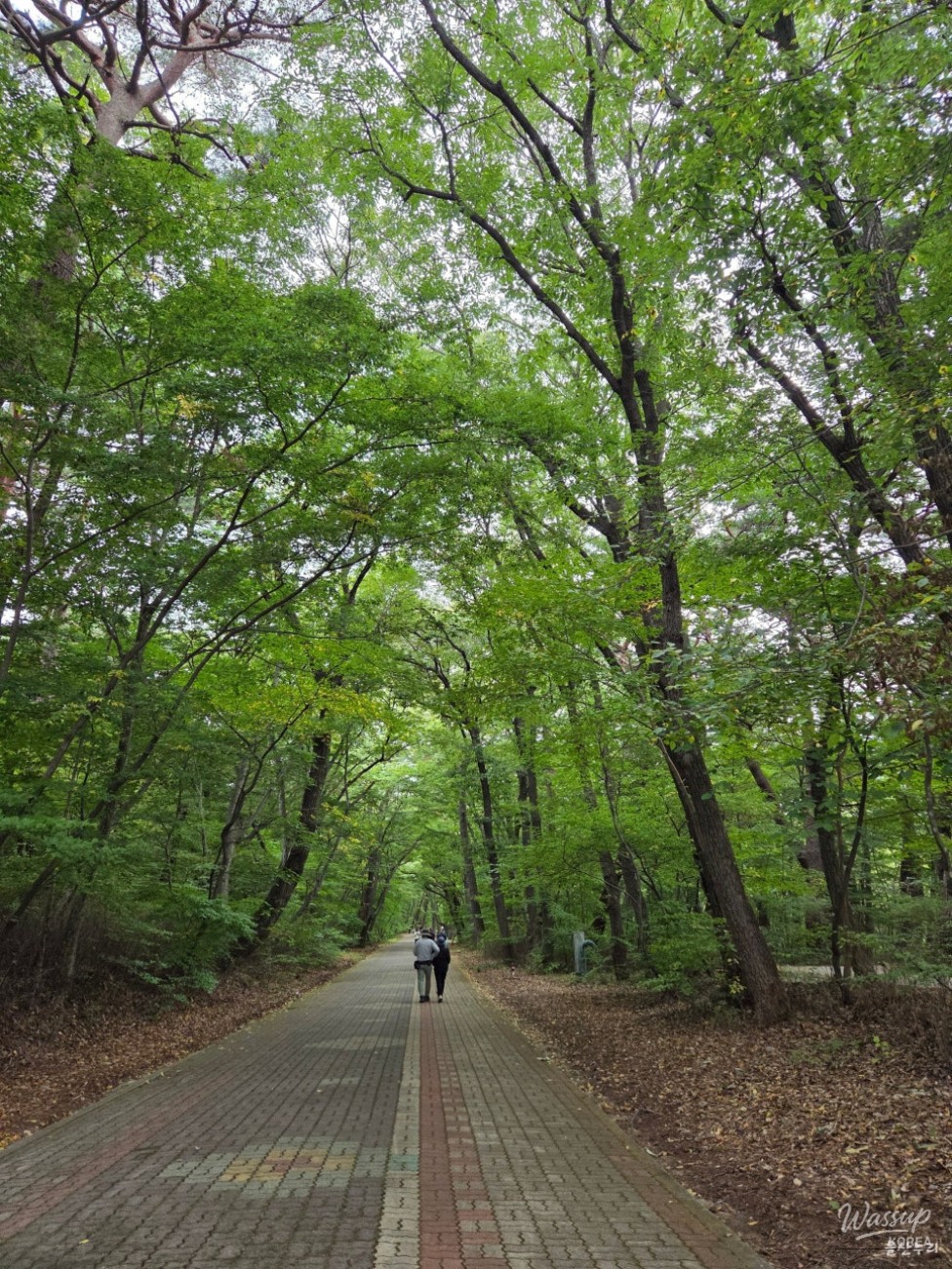 Exploring Seongnamsa Temple: A Journey Through History and Nature_03