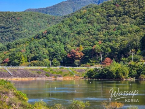 Exploring Daem Lake: A Serene Getaway Near Ulsan_12