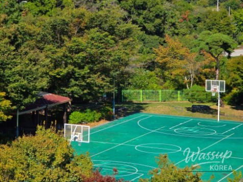 Exploring Daem Lake: A Serene Getaway Near Ulsan_09