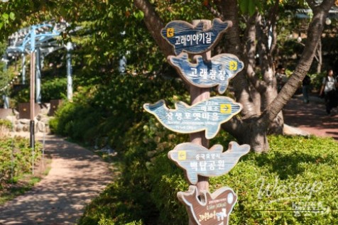 An Exciting Journey in Ulsan: Whale Culture Village and Wales Cart_04