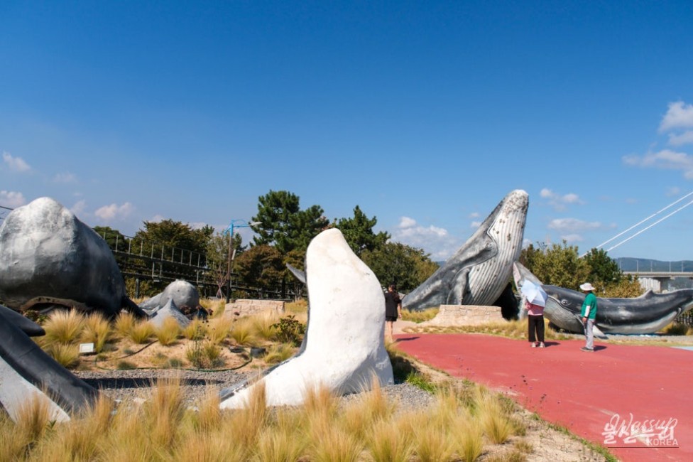An Exciting Journey in Ulsan: Whale Culture Village and Wales Cart_02