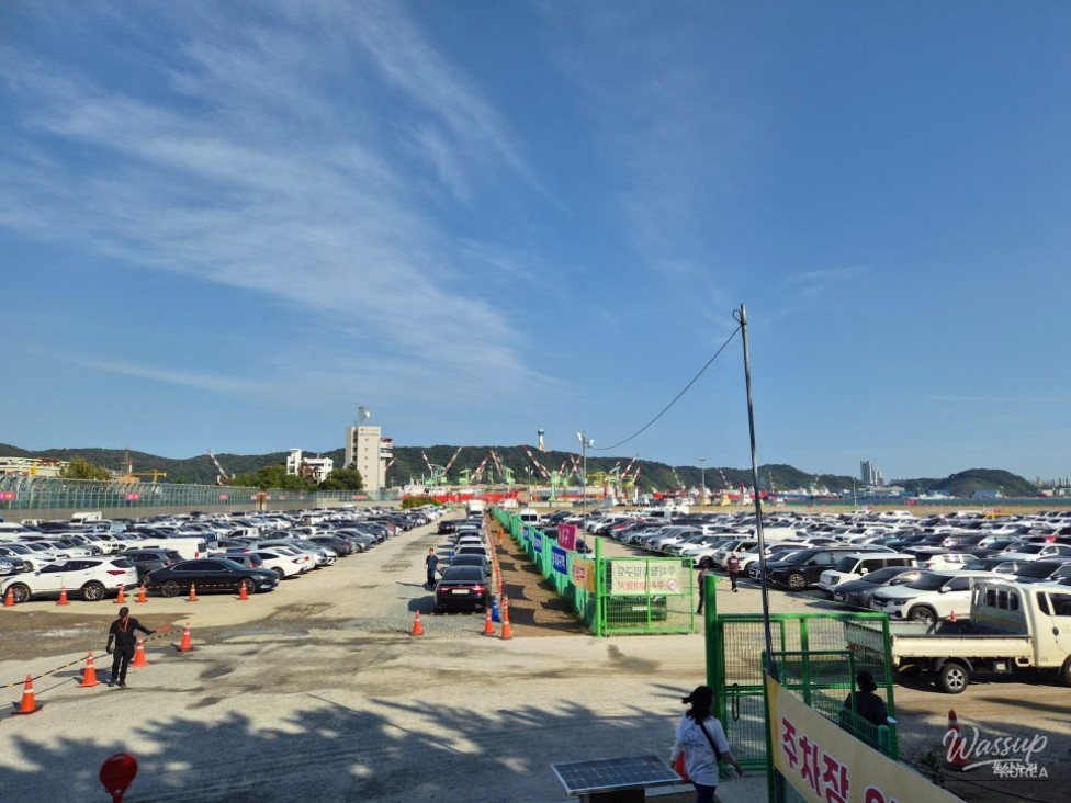 Ulsan Whale Festival 2026: A Memorable Experience_02