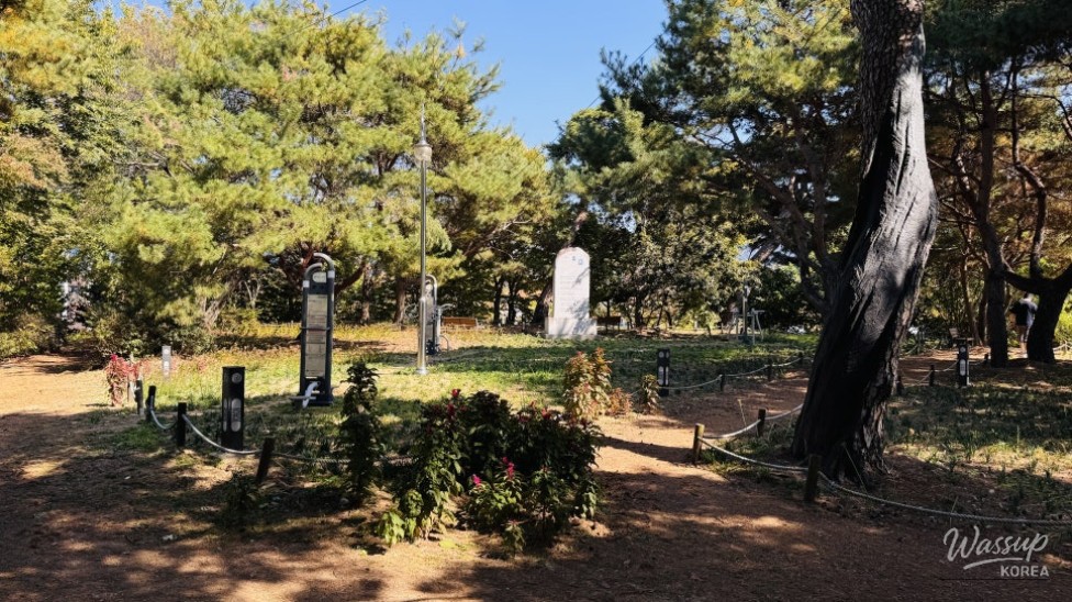 A Perfect Healing Course in Gajang_02