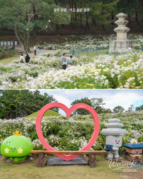 Autumn Blooms at Gyeongju's Seoak-dong Three-Story Stone Pagoda_11