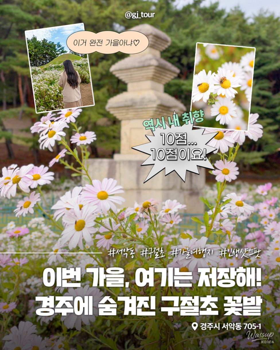 Autumn Blooms at Gyeongju's Seoak-dong Three-Story Stone Pagoda_01