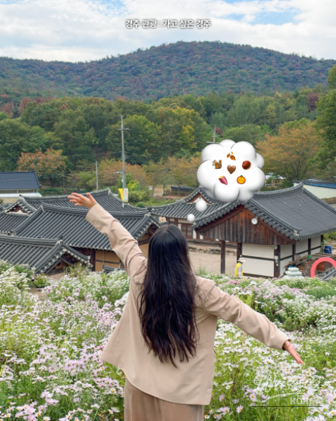 Autumn Blooms at Gyeongju's Seoak-dong Three-Story Stone Pagoda_07
