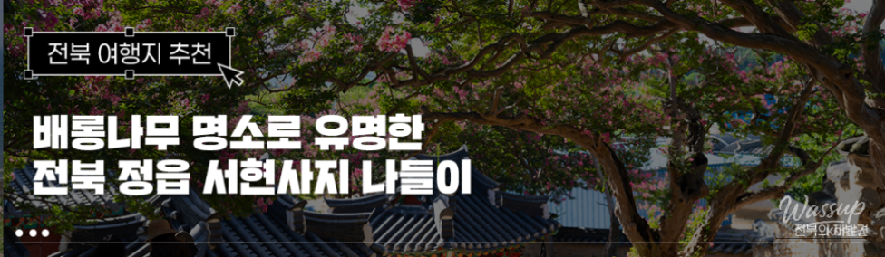 The Beauty of Summer: Baekilhong at Jeongeup Seohyeonsa_01