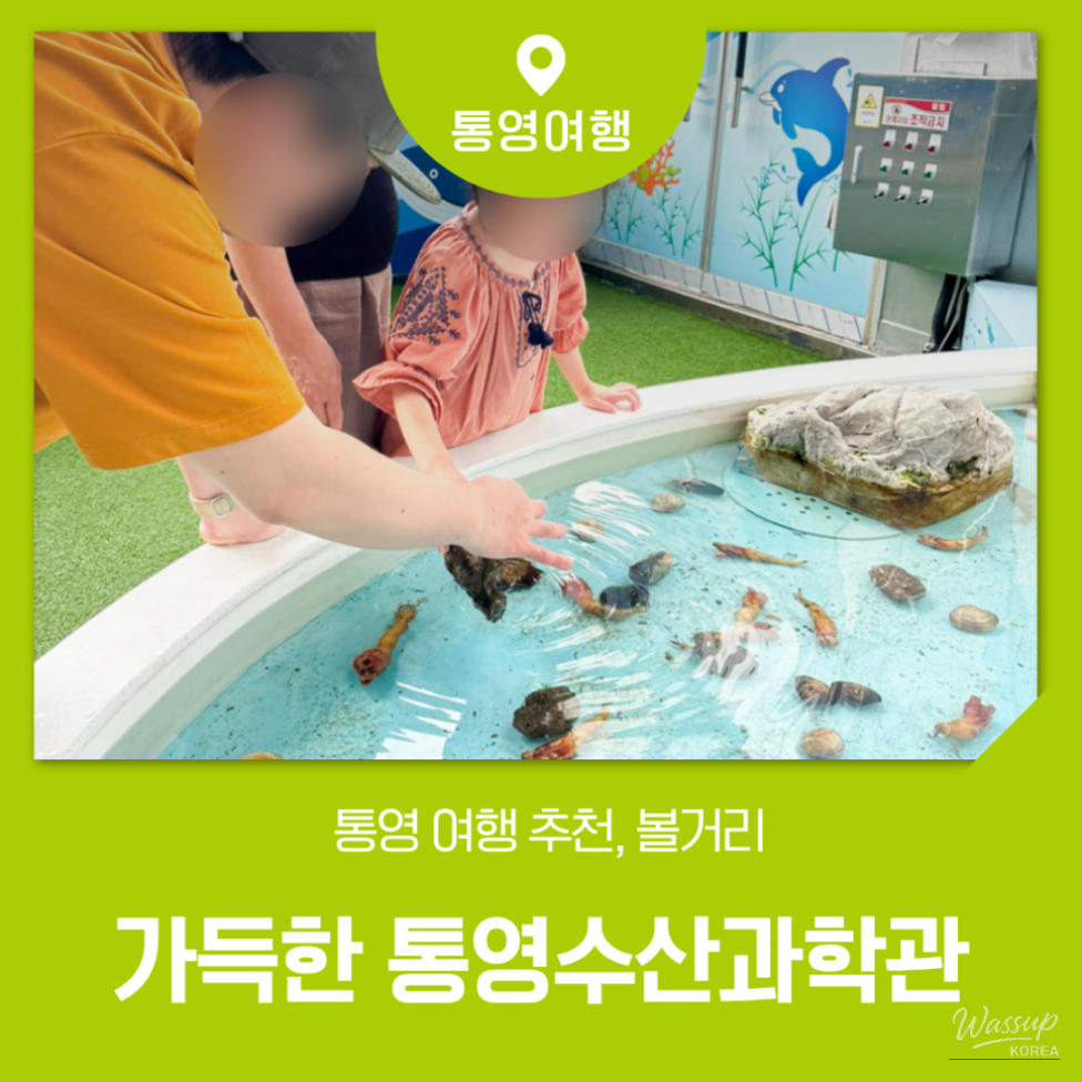 Exploring Tongyeong: A Family-Friendly Destination_01