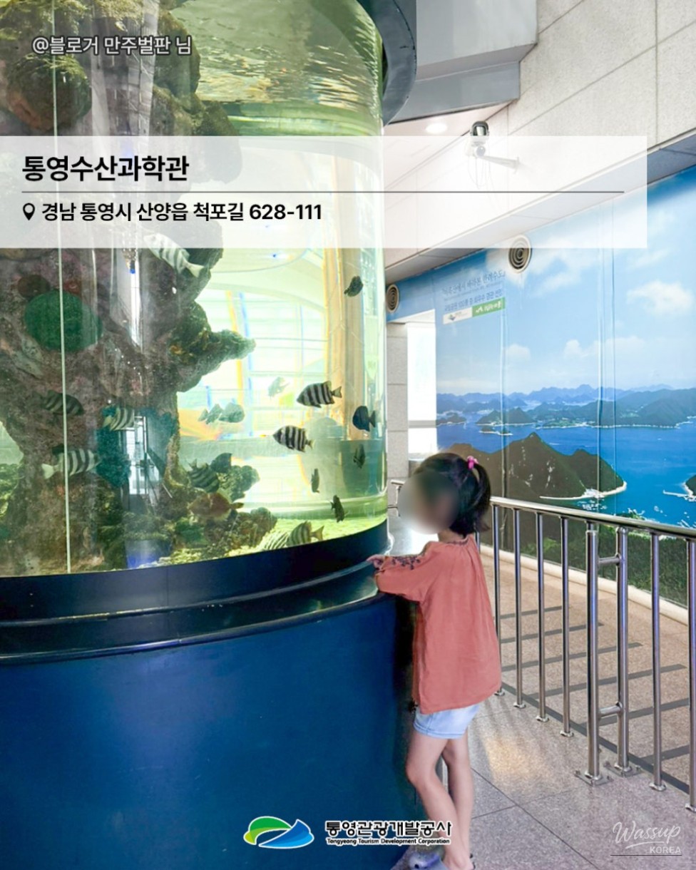 Exploring Tongyeong: A Family-Friendly Destination_04