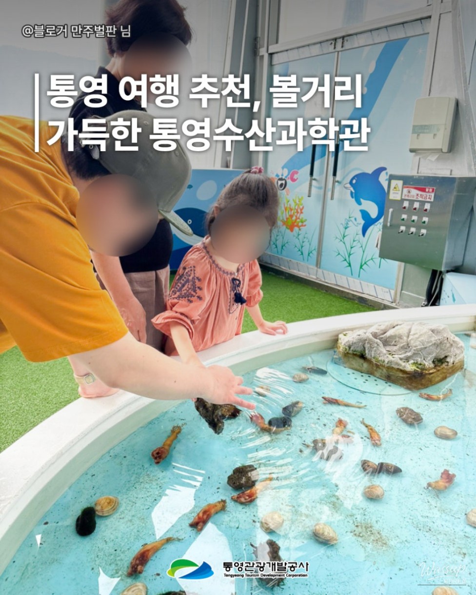 Exploring Tongyeong: A Family-Friendly Destination_03