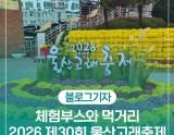 Ulsan Whale Festival 2026: A Memorable Experience