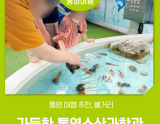 Exploring Tongyeong: A Family-Friendly Destination