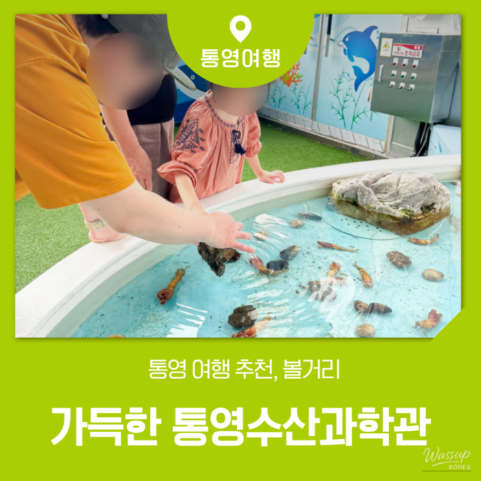 Exploring Tongyeong: A Family-Friendly Destination