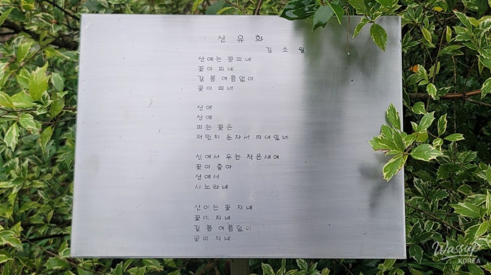Exploring the Autumn Beauty of Gyeongsangnam-do Arboretum_07