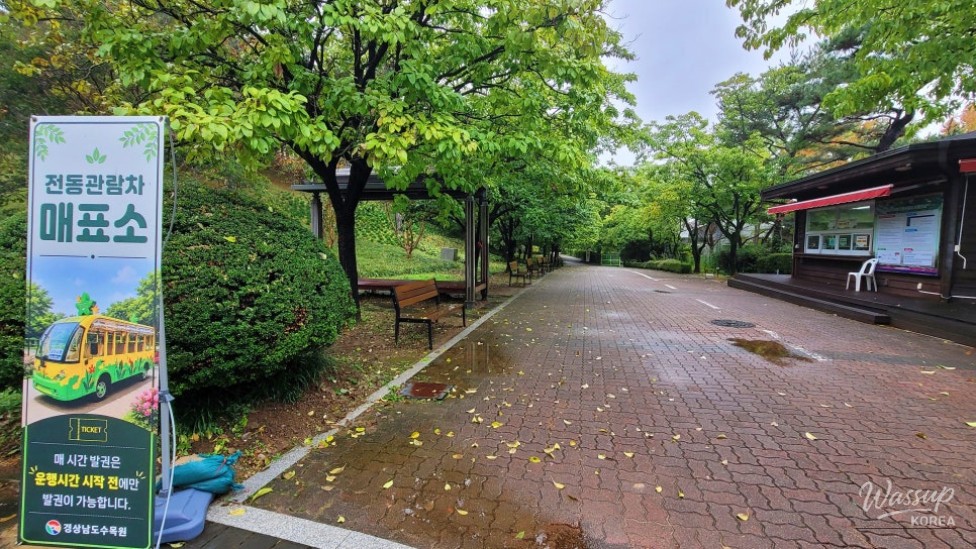 Exploring the Autumn Beauty of Gyeongsangnam-do Arboretum_04
