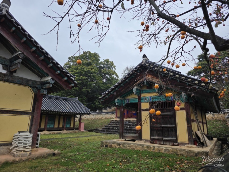 Exploring Yeonpung Confucian School in Goesan_09
