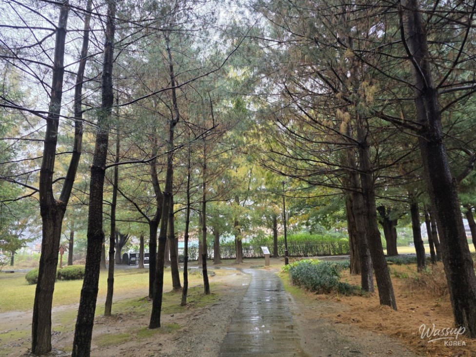 Exploring the Historic Yeonpung Martyrdom Site in Goesan_11