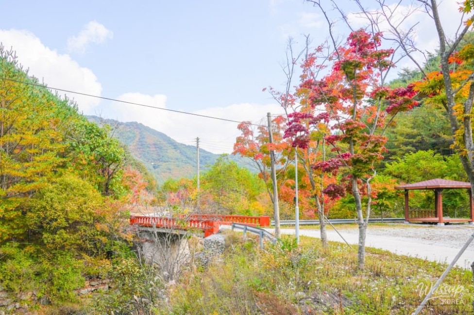 Exploring the Beautiful Forest Path of Daetigol in Yeongyang_03