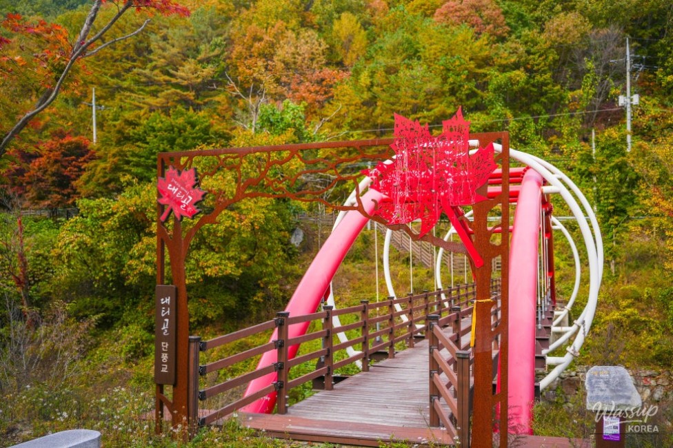 Exploring the Beautiful Forest Path of Daetigol in Yeongyang_02