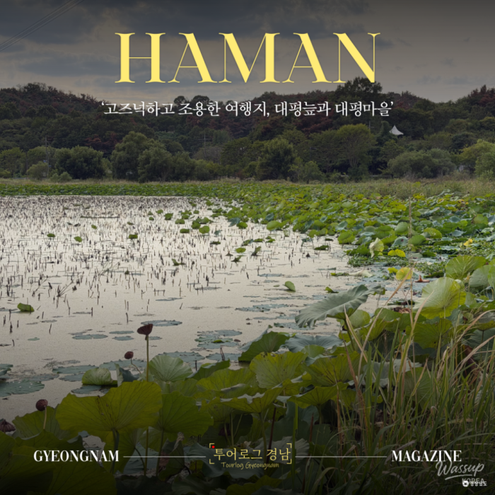 A Tranquil Autumn Journey to Daepyeong Wetland