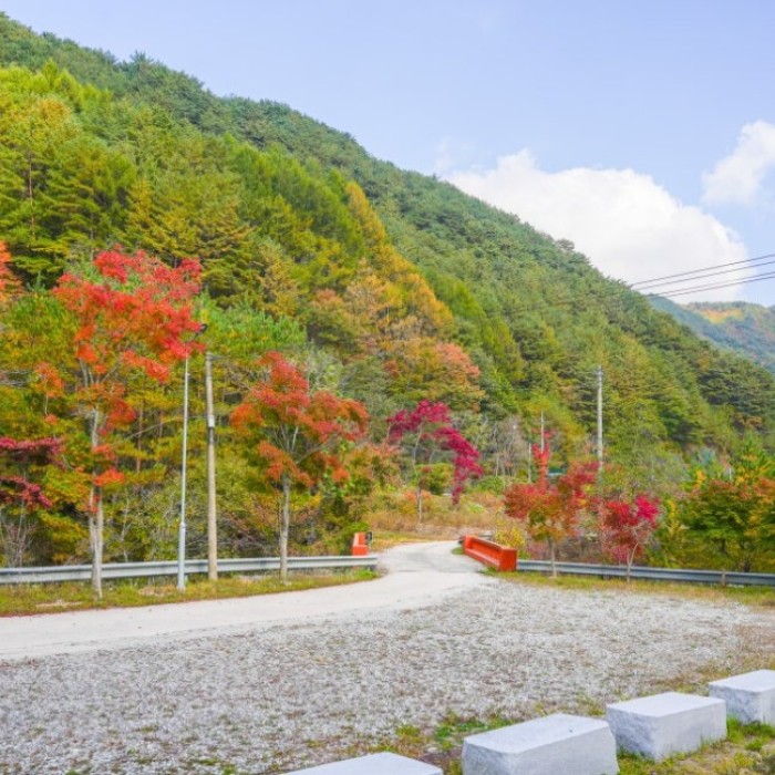 Exploring the Beautiful Forest Path of Daetigol in Yeongyang