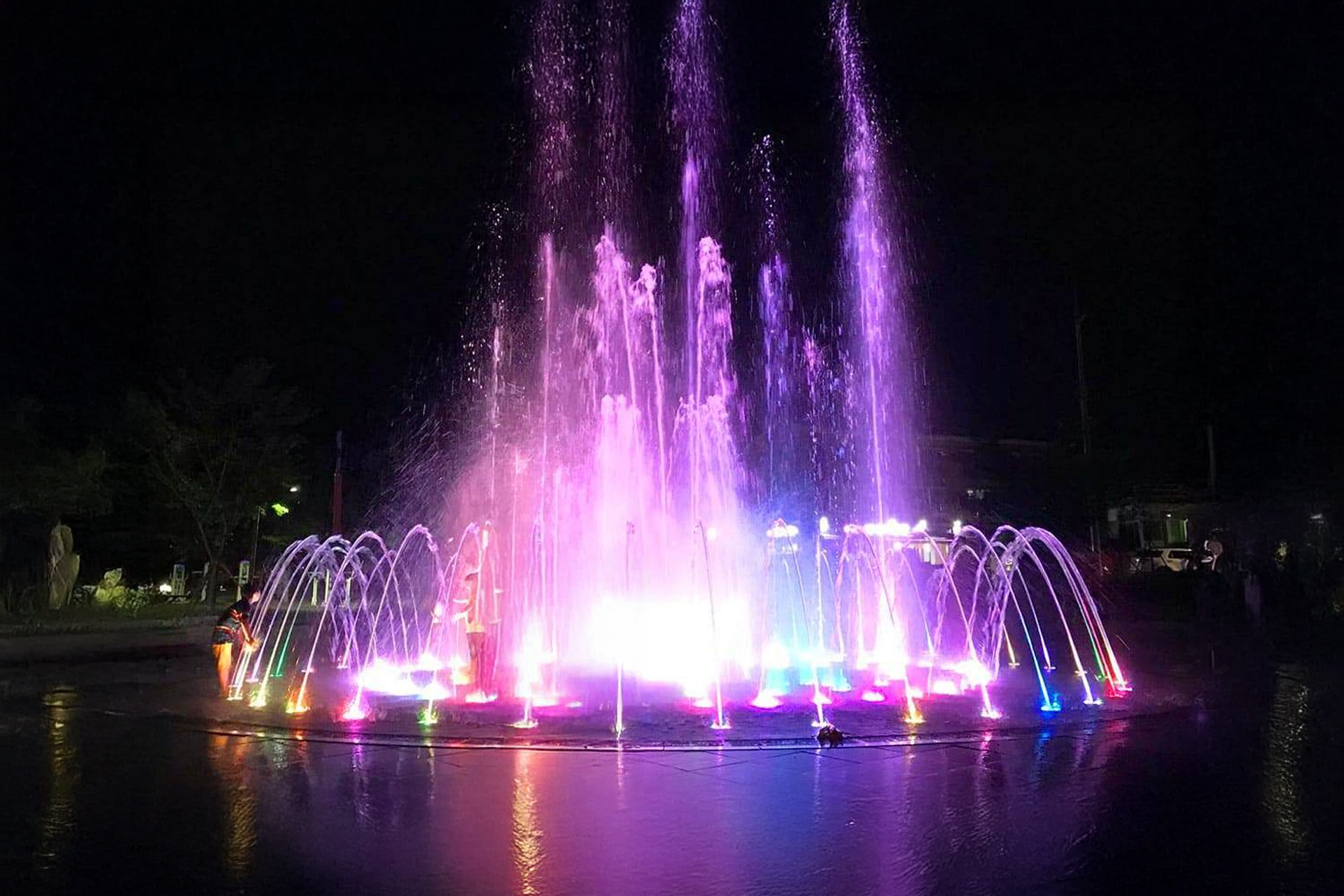 A grand and brightly lit Christmas tree standing as a center of hope in Mojon Park