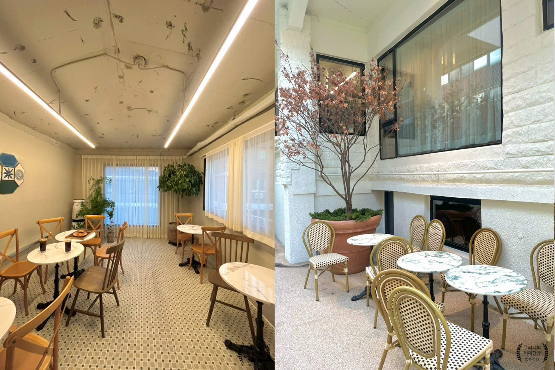 A variety of freshly baked soft bagels displayed on a wooden tray