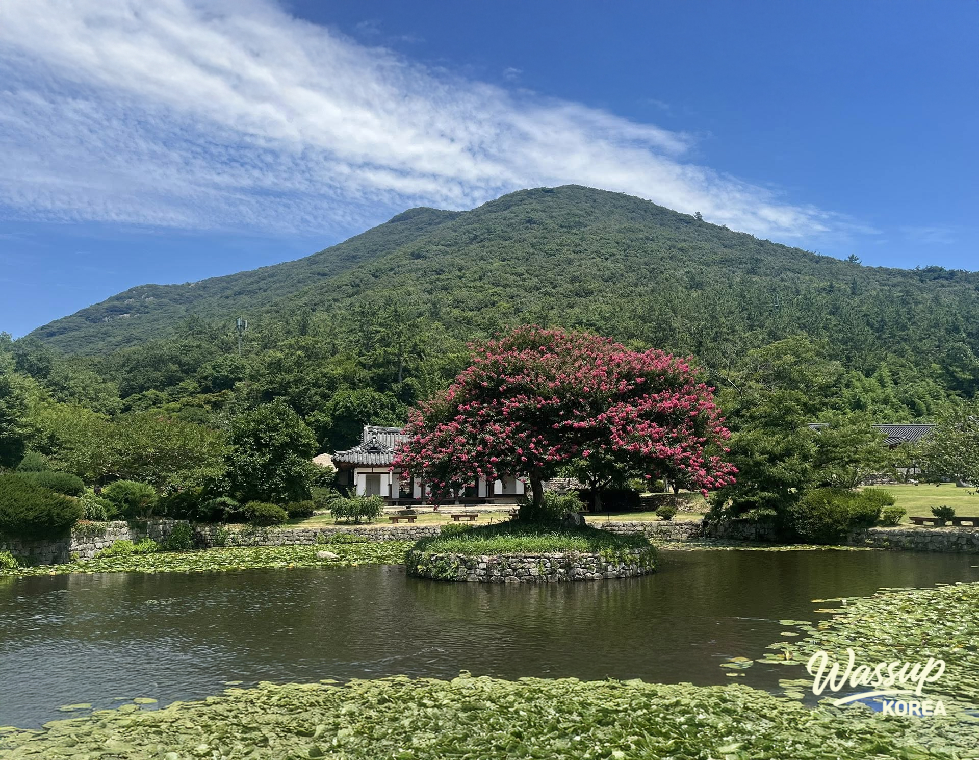 A peaceful winter landscape of Jindo island with mountains meeting the calm sea