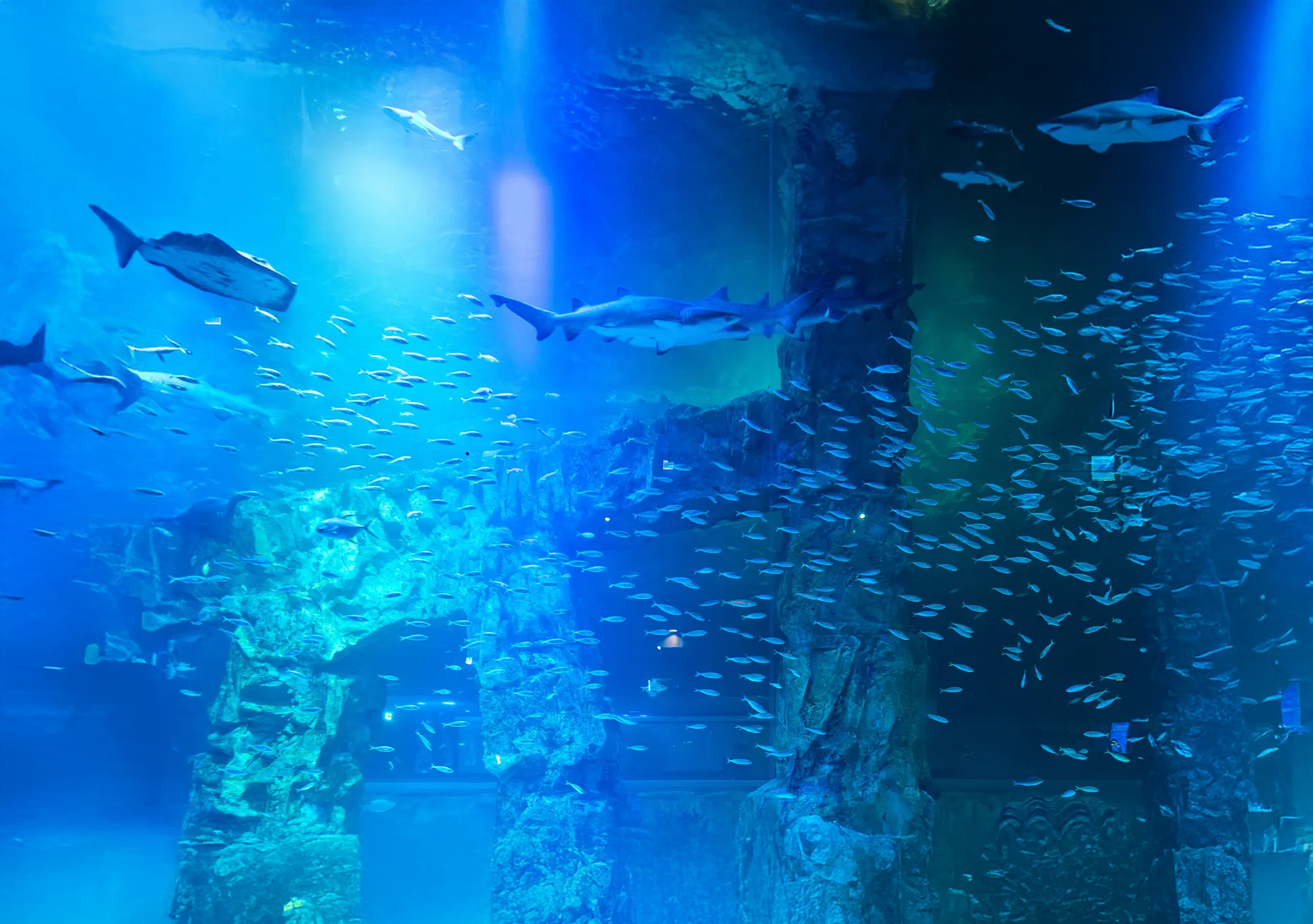 Ticket confirmation and entrance area for Lotte World Aquarium booked via Klook