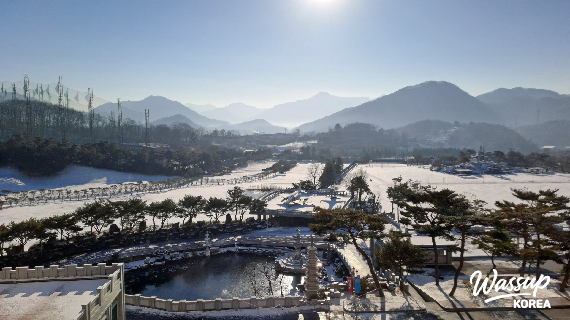Various cacti and succulents displayed in the indoor garden