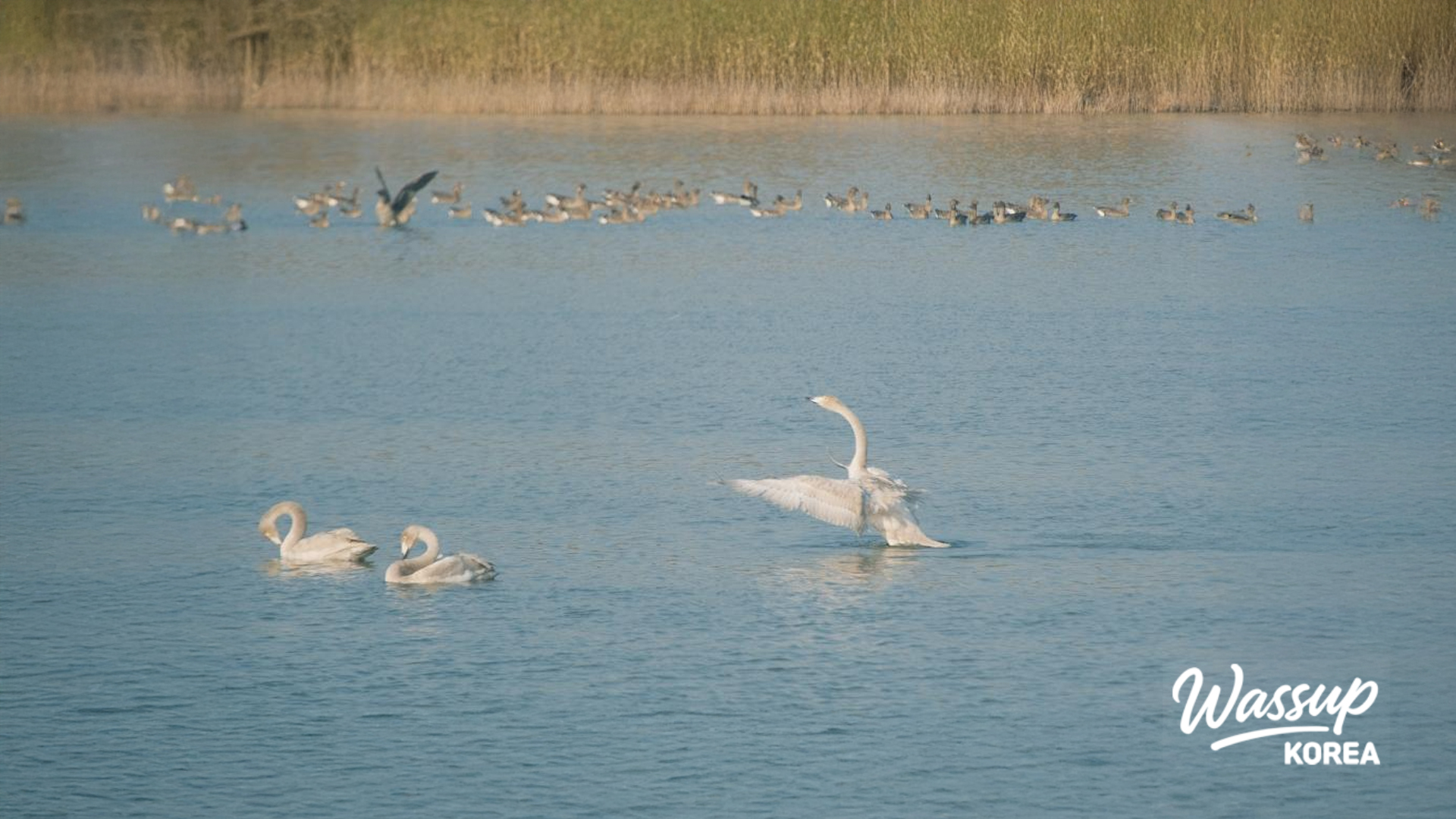 Scenic view of the birdwatching spot in Seocheon