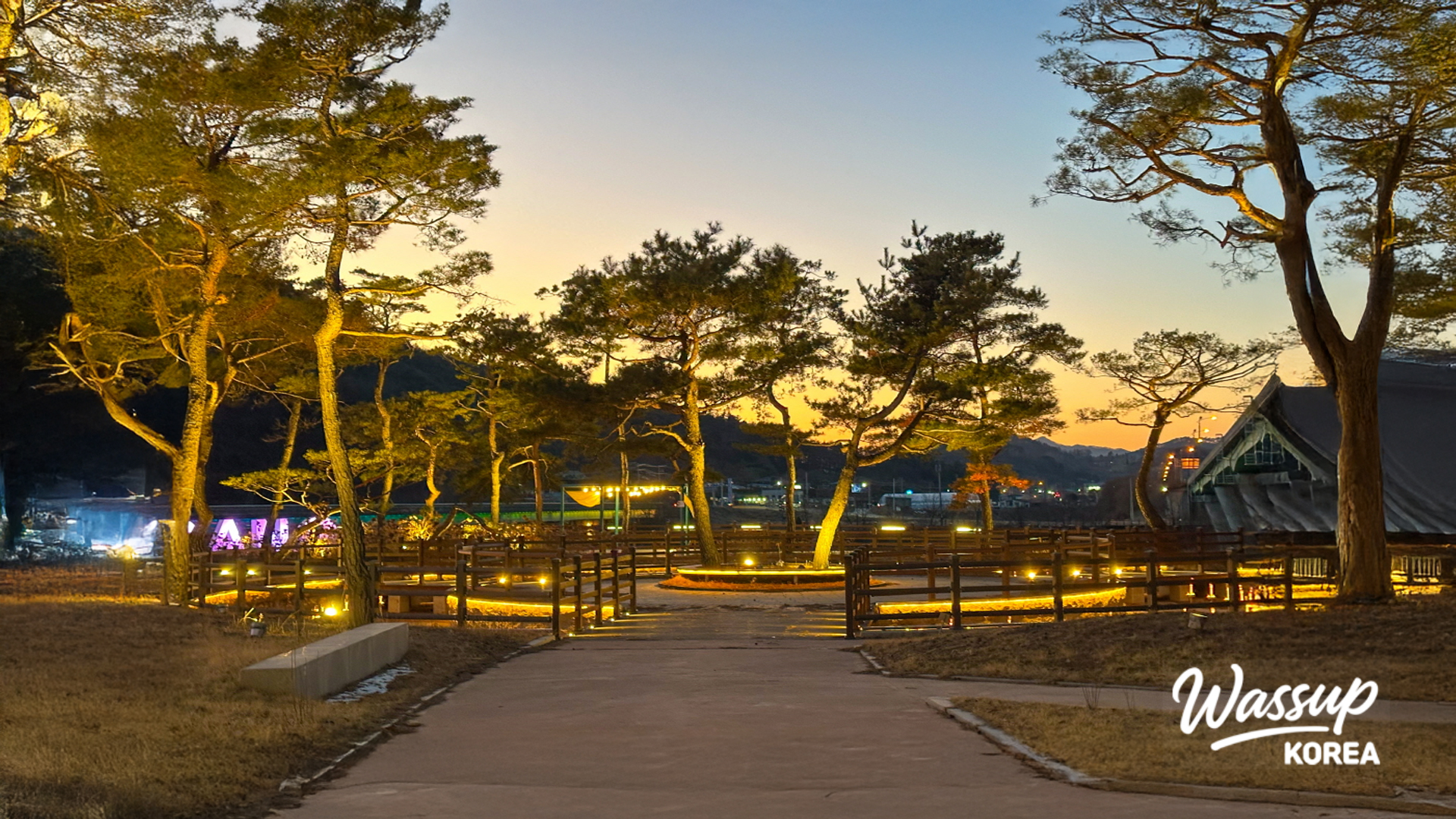 Unique tree-shaped benches and rest areas designed to harmonize with nature