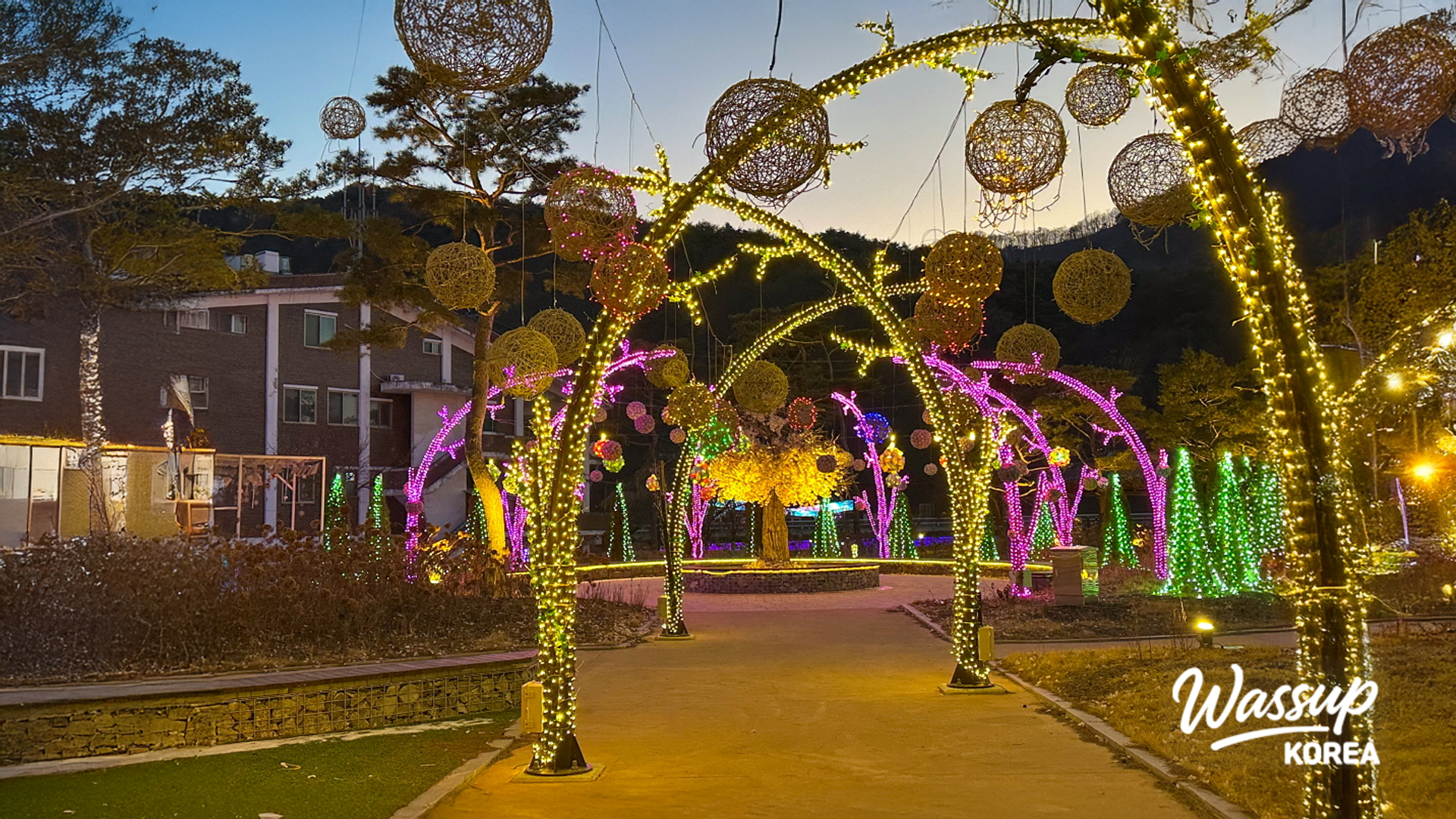 Walking paths in the park surrounded by trees and winter scenery
