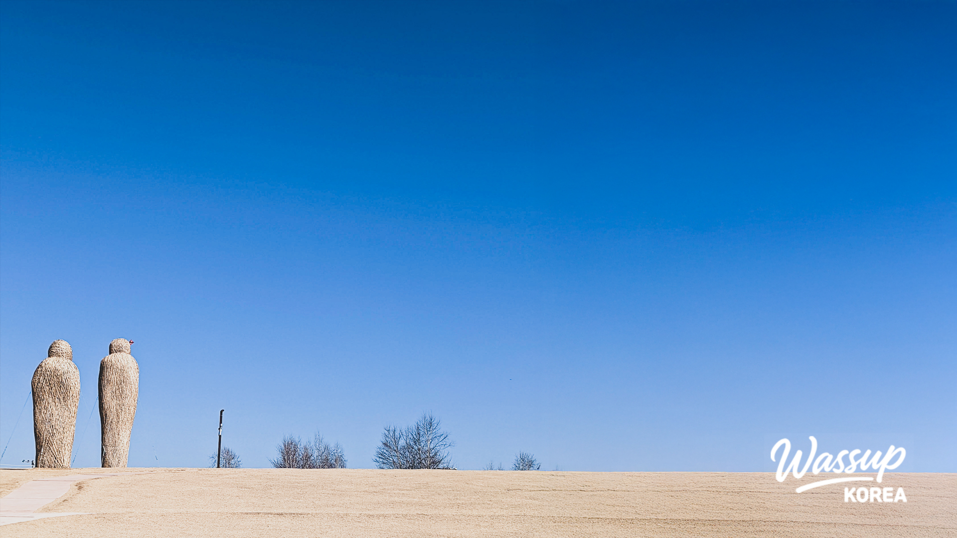 Colorful pinwheels spinning in the winter wind at Imjingak Peace Park
