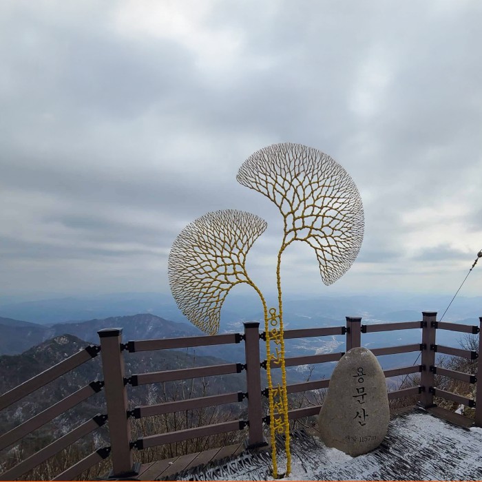 Top 4 Winter Healing Spots in Yangpyeong: A Perfect Escape Near Seoul