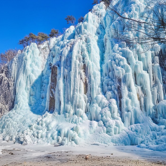 Magical Winter: 4 Must-Visit Snowy Escapes in Korea