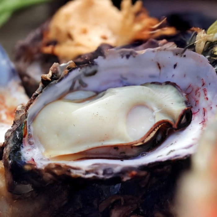 Poster announcing the 1st Haechangman Oyster Festival held in Goheung