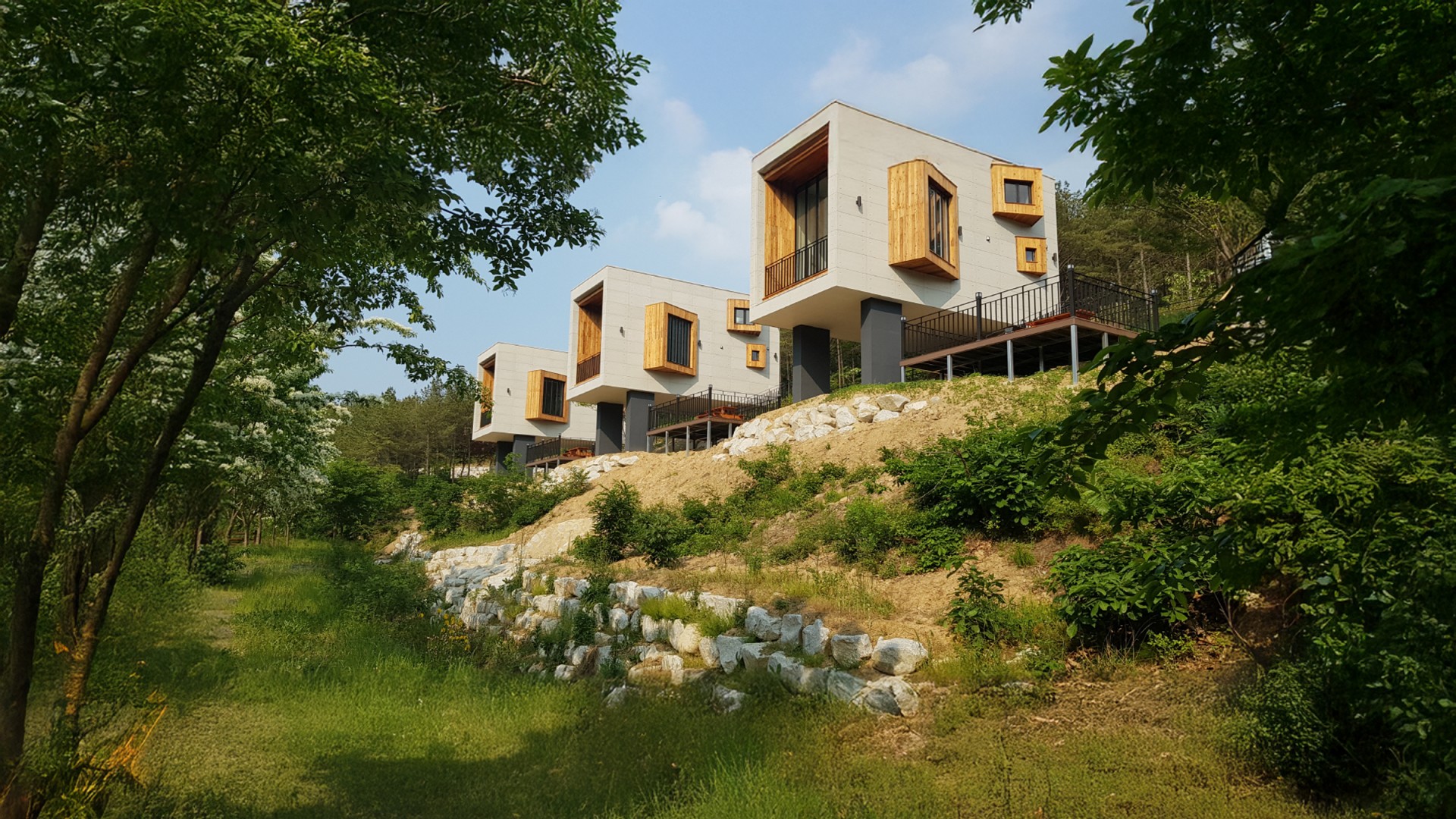 Autumn Scenery at Yeongcheon Ecological Park: A Symphony of Chrysanthemums and Kochia Scoparia_01