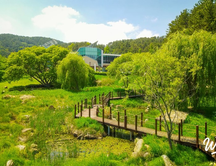 Exploring Korea's Best Autumn Forests float