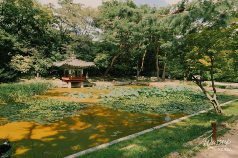 Traditional wooden door patterns and Dancheong art at the garden entrance