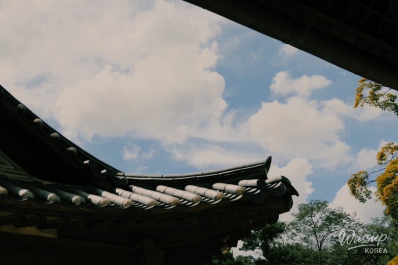 Traditional Korean architecture harmonizing with the surrounding forest