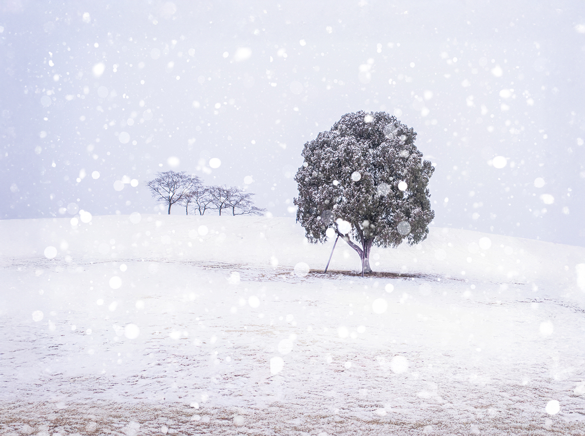 4 Best Outdoor Winter Date Spots in Seoul for a Snowy Day